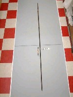 藏品(槍)的圖片